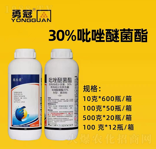 �������¹چ̵ϡ�ȫ�w�T����ף��������2022���I(y��)�v�w����������������