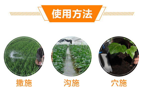 南寧市華沃農(nóng)業(yè)科技有限責(zé)任公司1_06