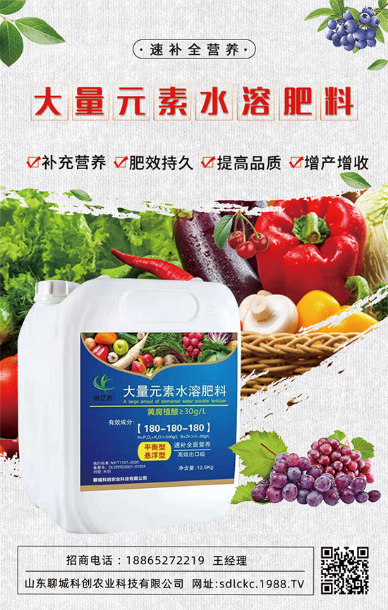 ɽ�|�ĳǿƄ�(chu��ng)�ٺ�1988.TV�����\�������p�A��