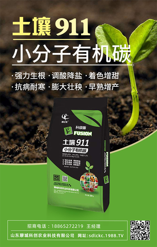 ɽ�|�ĳǿƄ�(chu��ng)�ٺ�1988.TV�����\�������p�A��