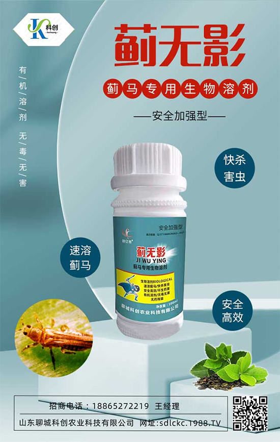 ɽ�|�ĳǿƄ�(chu��ng)�ٺ�1988.TV�����\�������p�A��