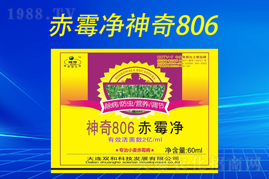 合作再升級(jí)！大連雙和科技再簽1988.TV，共創(chuàng)新輝煌！