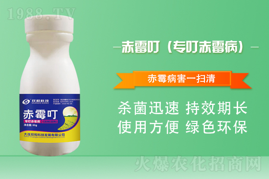 合作再升級(jí)！大連雙和科技再簽1988.TV，共創(chuàng)新輝煌！