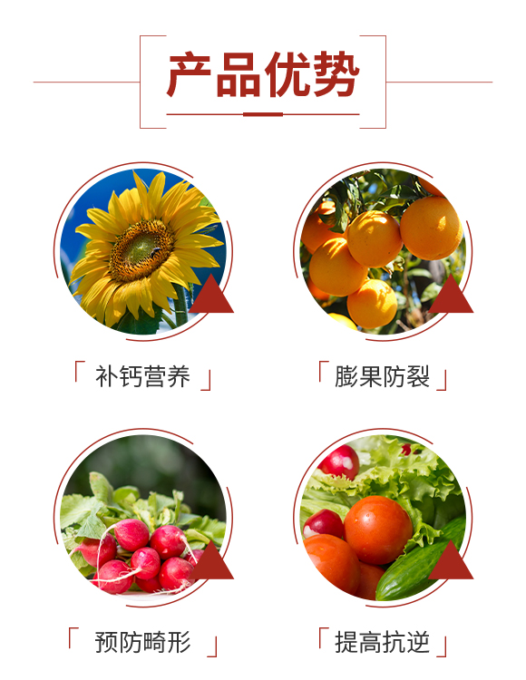 ɽ����(y��u)ؐʩ�r�I(y��)�Ƽ����޹�˾-�S����_03