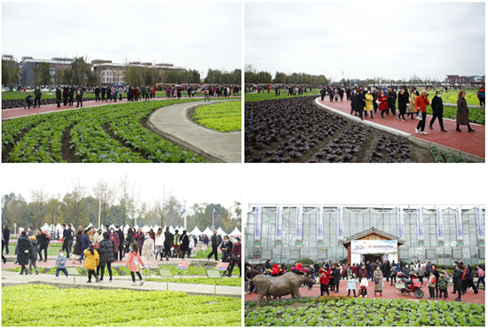 �ذ������ߌóɶ��N�I(y��)���[��(hu��)���n11��18��