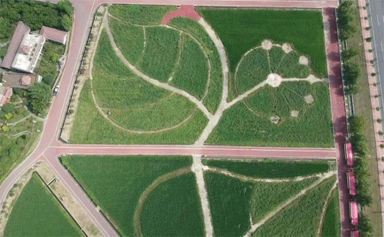 �ذ������ߌóɶ��N�I(y��)���[��(hu��)���n11��18��