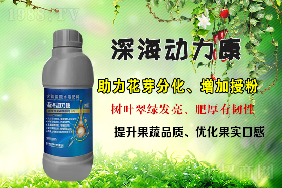 ���r(n��ng)���W(w��ng)ϲӭ�������������r(n��ng)�����s���v1988.TV��