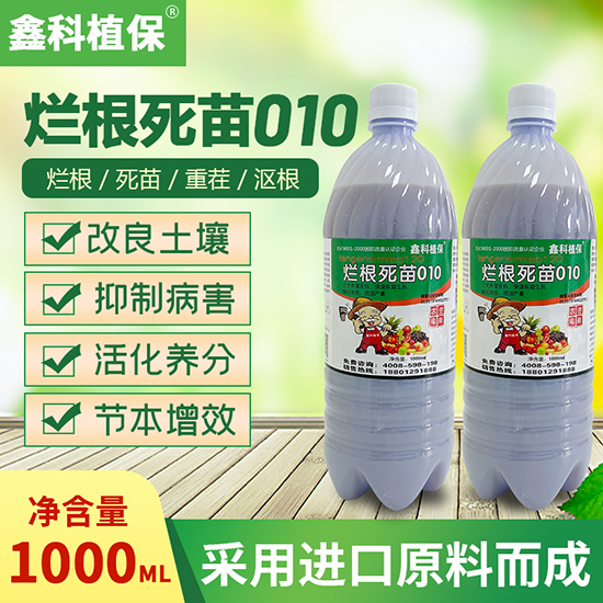 ��������010-�ο�ֲ��2