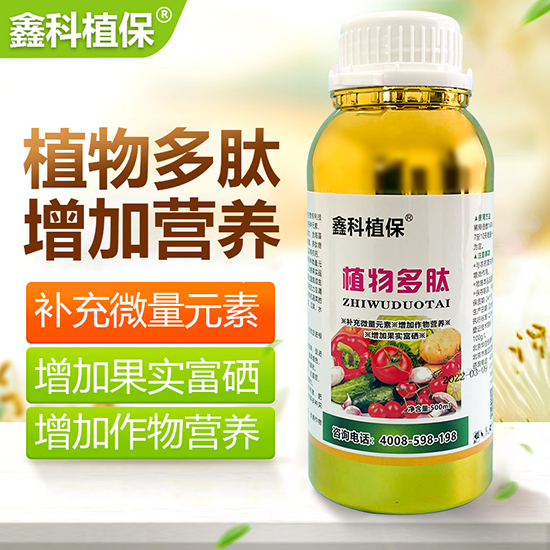 ֲ�����-�ο�ֲ��2