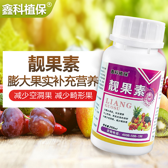 �n����-�ο�ֲ��2