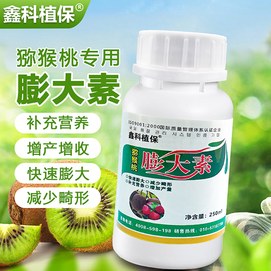 �J���������-�ο�ֲ��2