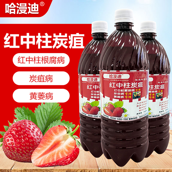 �t����̿��-�ο�ֲ��2