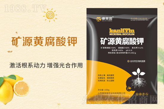 �r(n��ng)���W(w��ng)ϲӭ�����������R��ɹ����s1988.TV��