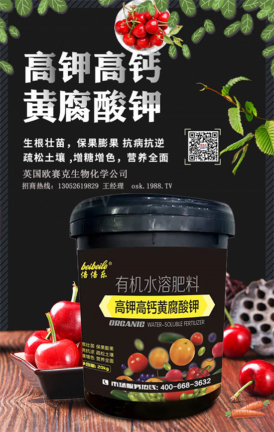 һ���S�����=�����������������ЙC(j��)�����S����⛞�����������