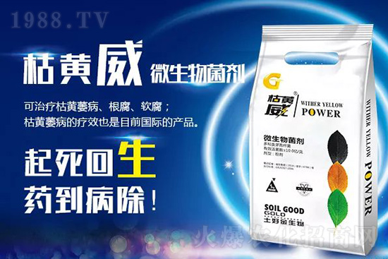 枯黃萎、立枯等病害怎樣滅殺？用它就夠了！