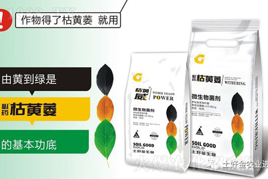 枯黃萎、立枯等病害怎樣滅殺?用它就夠了!