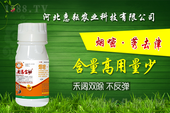 封殺雙效!禾闊通除!玉米田除草記住這個(gè)配方就夠了!