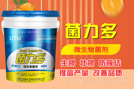 ������ʺͻ��ʵă�(y��u)�݌������������Ч�������