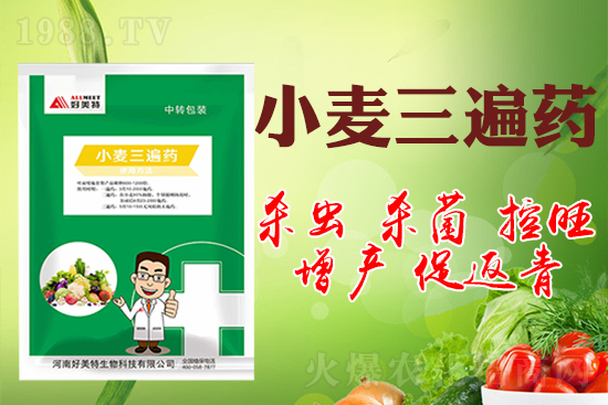 小麥巧打三遍藥抗病增產(chǎn)有奇效！小麥三遍藥什么時(shí)候打？