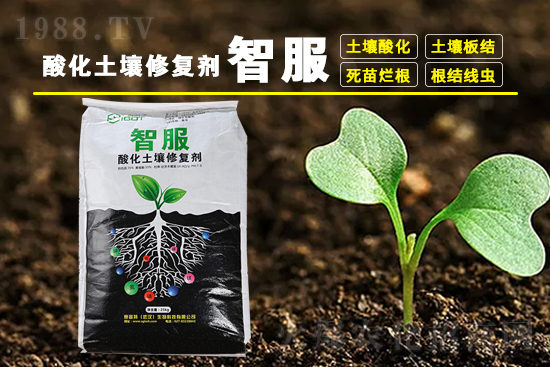 ���ڵ��������������r(ji��)��4��14��