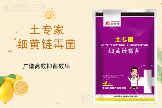 ���@�r�����ٝq����4��2�ո������@�r��