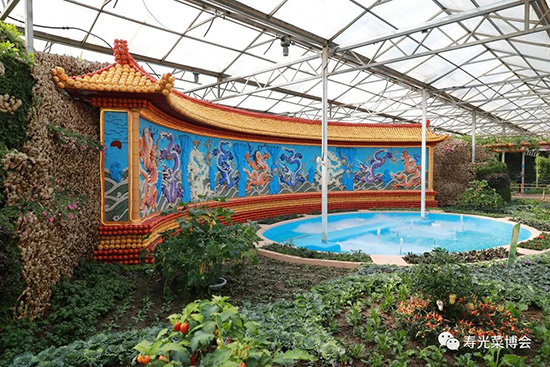 第二十三屆壽光菜博會4