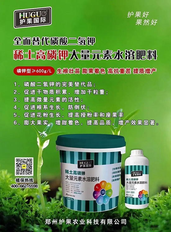 ⛷ʴ�q�r(ji��)���@�N⛷����(sh��)���������������������ռ���f�Ј�