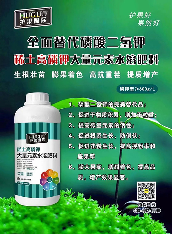 ⛷ʴ�q�r(ji��)���@�N⛷����(sh��)����������������⛣���ռ���f�Ј�