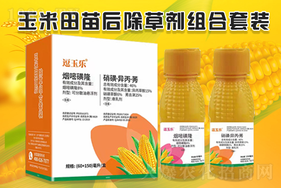 玉米除草效果差，什么原因？玉米除草劑怎么選？
