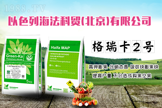 果蔬膨果增產(chǎn)的秘密！杜絕裂果空果，以色列原裝進(jìn)口，配方萬里挑一！