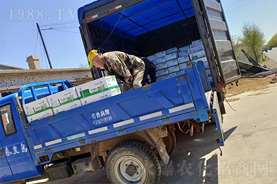 暢銷爆品！實(shí)力廠家！格瑞卡2號發(fā)貨不停歇