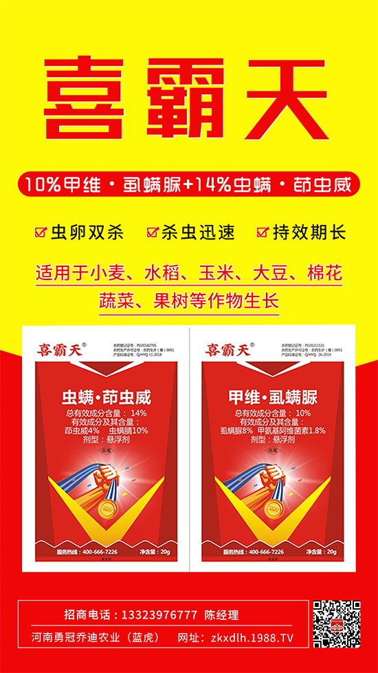 小菜蛾、菜青蟲危害重太難打？這樣用藥！一打一個準(zhǔn)!