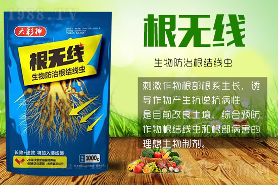 根結(jié)線蟲殺死容易殺絕難！這樣防治效果好到驚人！