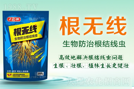 根結(jié)線蟲殺死容易殺絕難！這樣防治效果好到驚人！