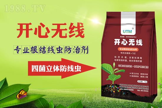 根結(jié)線蟲危害大?線蟲防治意見匯總!