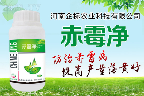 緊急提醒：未來(lái)十天是小麥赤霉病防治關(guān)鍵期！務(wù)必抓??！