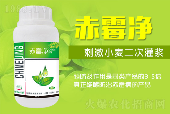 緊急提醒：未來(lái)十天是小麥赤霉病防治關(guān)鍵期！務(wù)必抓??！