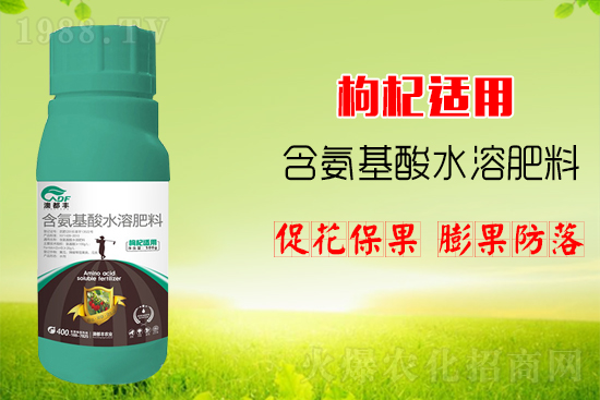 枸杞繁殖方法，主要的品種有哪些？