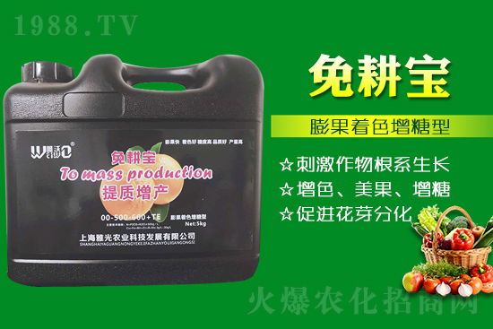 ���Ѵ߼t��ʩ��ô������ʲô������