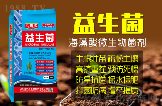 山東百利來(lái)生物技術(shù)有限公司1