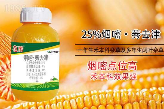 玉米除草，別用這幾種除草劑！