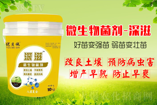 作物如何爆發(fā)式生根呢？生根養(yǎng)根方案快來看！