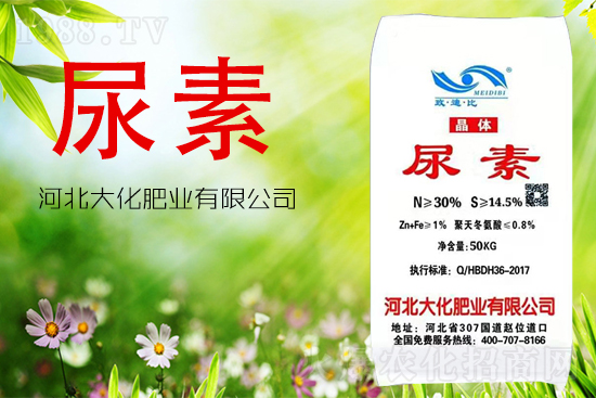 尿素到底能不能做葉面肥？怎么用？