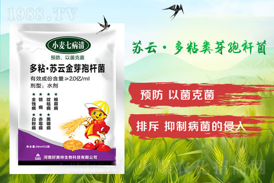 四月小麥赤霉病多發(fā)，不要錯(cuò)過(guò)防治時(shí)間！