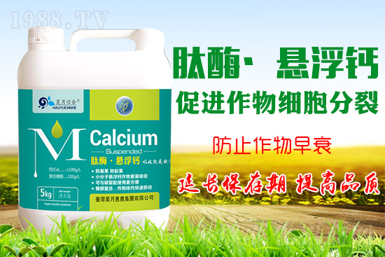 蘋果樹花后補鈣很關(guān)鍵!蘋果補鈣的四個誤區(qū)你知道嗎?