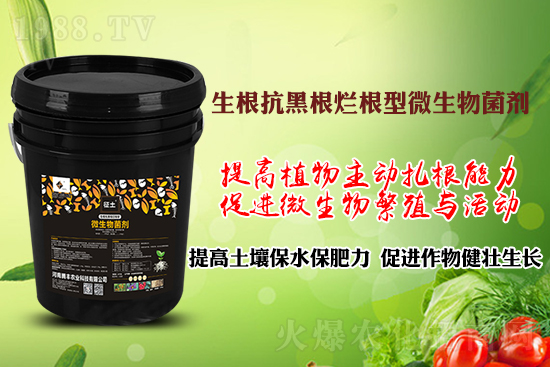 作物黑根爛根、黃苗弱苗頻發(fā)？用“它”輕松解決！百萬種植戶都在用！