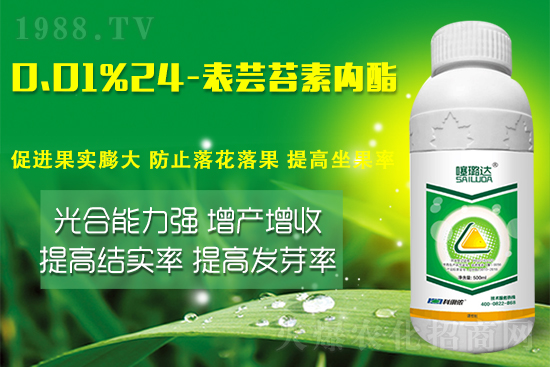 蕓苔素內(nèi)酯竟然有這么多作用!這樣搭配解決膨果增產(chǎn)難題!