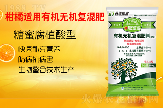     柑橘施肥常見的誤區(qū)有哪些？柑橘如何科學施肥呢？