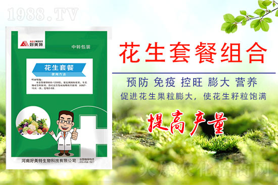 花生要高產(chǎn)，施肥有訣竅