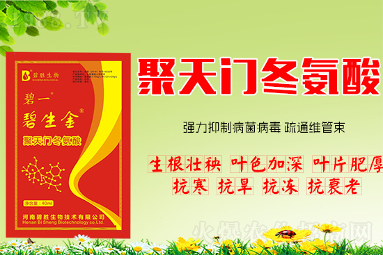 ���H�H����Ч���������T�����ṦЧ��R����һ���Ͷ���